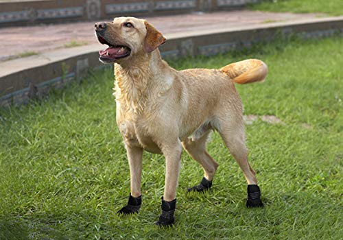 Waterproof Dog Shoes Warm Fur Inner Dog Boots