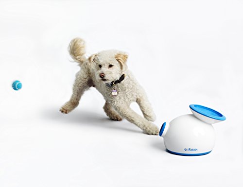 iFetch Interactive Ball Launcher for Dogs – Launches Mini Tennis Balls, Small