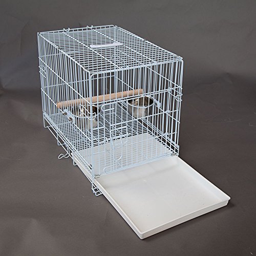 Flyline Collapsible Pet Carrier Bird Cage Travel (Large)