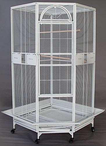 Large Corner Cage for Cockatiel Parakeet Budgies Parrot
