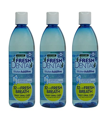 Naturel Promise Fresh Dental Water Additive for Dogs/Cats