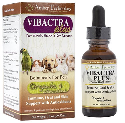 Amber Technology Vibactra Plus- Organic herbal supplement