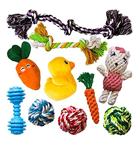 AMZpets 10 Most Popular Dog Toys for Small Dogs & Puppies