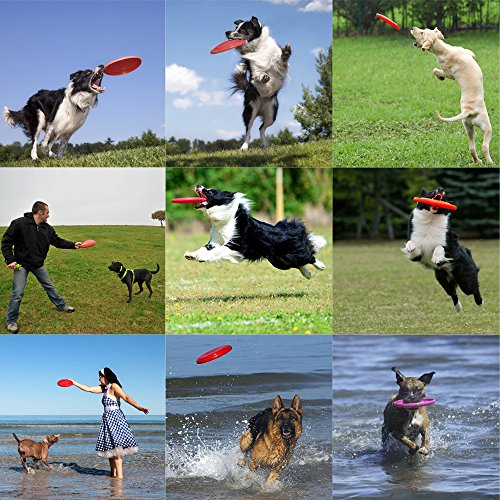 Keklle Dog Silicon Flyer Dog Flying Disk Pet Toys
