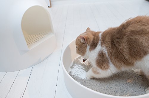 Cat Litter Box with Lid Large with Scooper