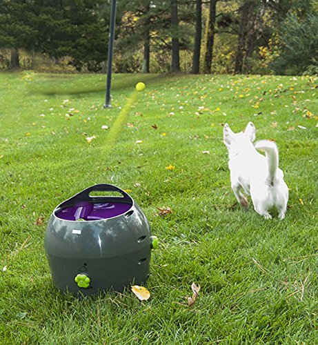 PetSafe Automatic Ball Launcher Dog Toy, Tennis Ball Throwing Machine