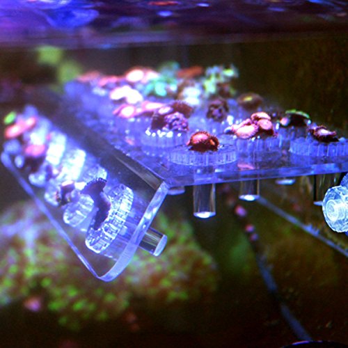 Kangsanli Acrylic Marine Aquarium Coral Racks