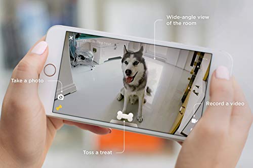 Petcube Bites Pet Camera with Treat Dispenser, HD 1080p Video