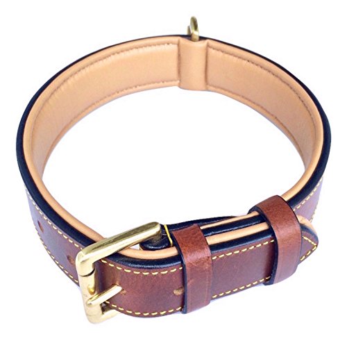 Soft Touch Collars Padded Leather Dog Collar