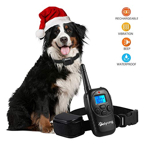 Dog Training Collar Shock Collar Dogs Rechargeable