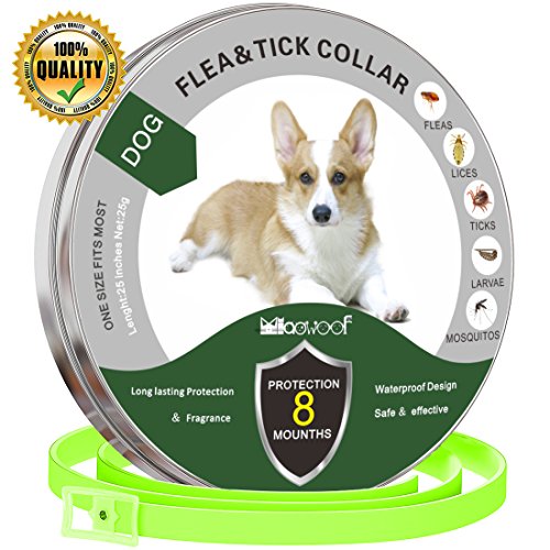 Solacium Flea and Tick Prevention for Dogs