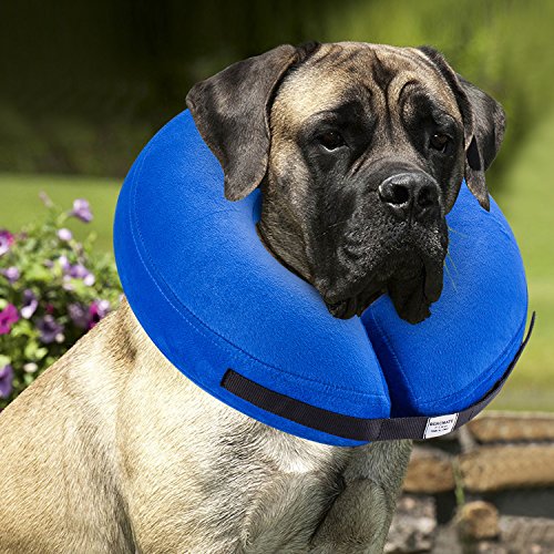 Protective Inflatable Collar for Dogs and Cats
