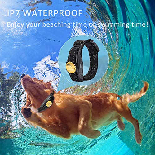Dog Training Collar-Rechargeable with Beep/Vibra/Electric Shock
