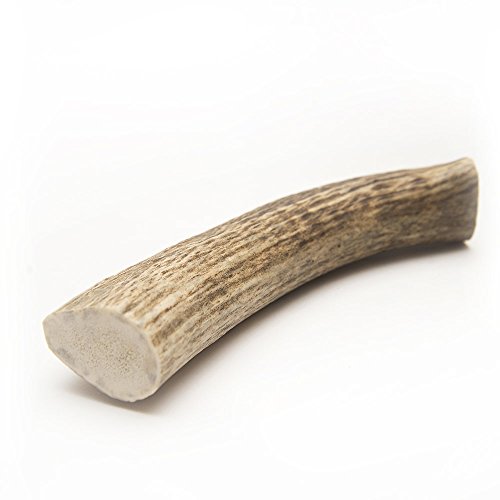 All Natural Large Elk Antler Dog Chew - Made in the USA