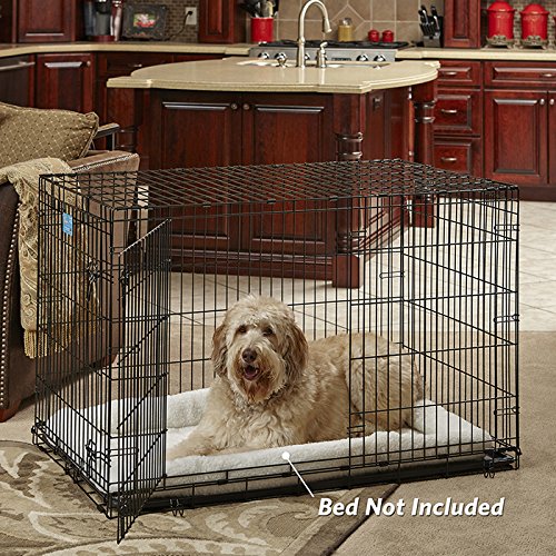 XL Dog Crate | MidWest Life Stages Double Door Folding Metal Dog Crate