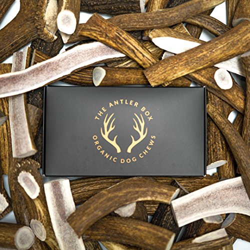 The Antler Box-Premium Elk Antler Dog Chews