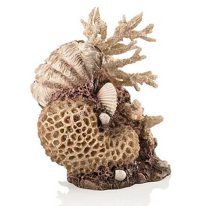 biOrb Natural Coral Shells Ornament