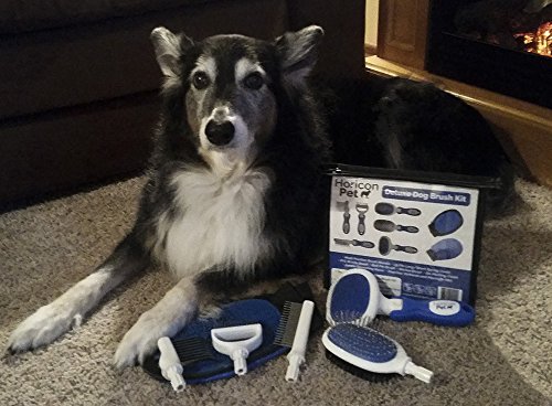 Horicon Pet Deluxe Dog Brush Kit - Interchangeable Dog
