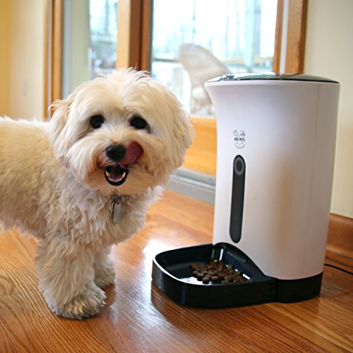 Arf Pets Automatic Pet Feeder Food Dispenser Dogs