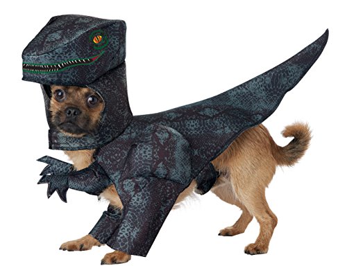 California Costumes Collections Pupasaurus Rex Dog Costume
