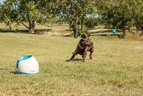 iFetch Too Interactive Ball Launcher for Dogs – Launches Standard Tennis Balls