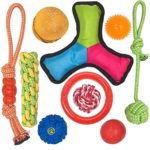 10 Pack Dog Toy Set Ball Rope and Chew Squeaky Toys