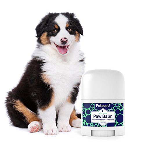 Petpost | Paw Balm for Dogs - Nourishing Cream