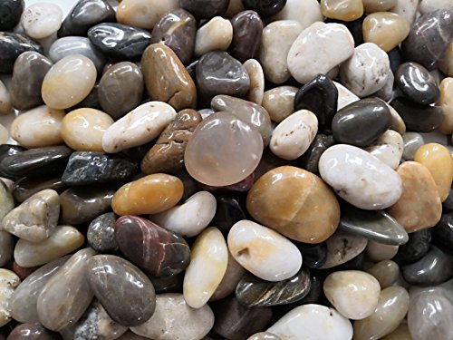 2.2Pounds Large Decorative River Rock Stones Pebbles