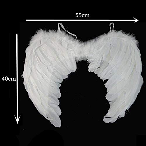 Classic Dog Cat Angels & Demons Wings Pet Review