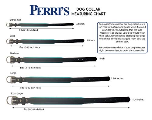 Perri's Padded Leather Dog Collar, Black/Blue, X-Small