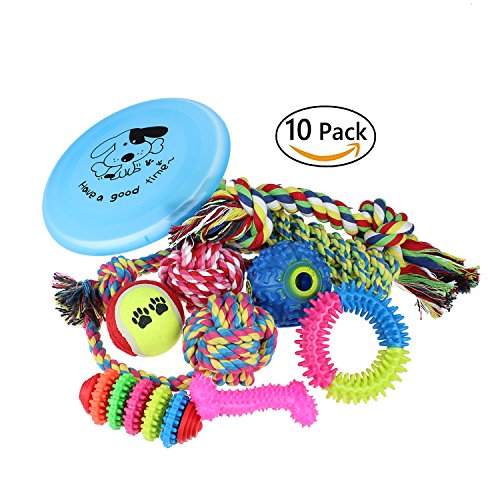Timo Lee-Talk Dog Toys 10 Pack Gift Set,Toy Balls