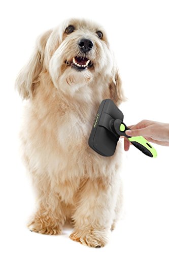 Pro Quality Self Cleaning Slicker Brush for Dogs and Cats
