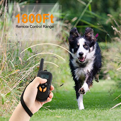 Dog Training Shock Collar with 500 Yards Remote