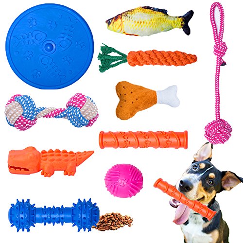 WB WEIRDBEAST Dog Toys Set for Small Dogs & Puppy