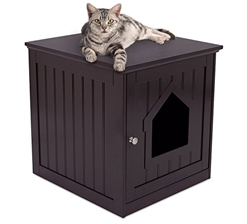 Internet's Best Decorative Cat House & Side Table