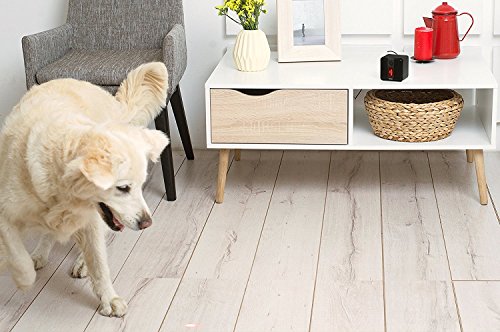 Petcube Play Smart Pet Camera with Interactive Laser Toy