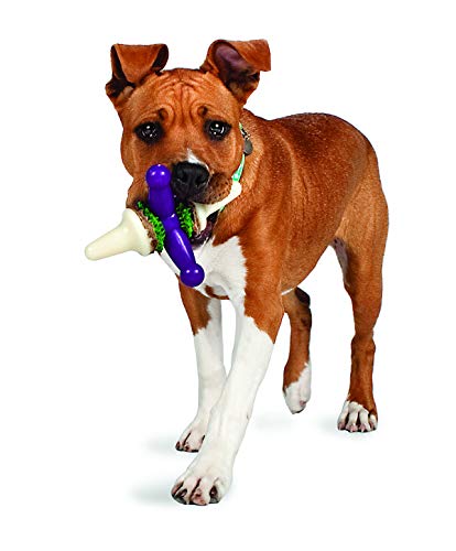 PetSafe Busy Buddy Jack Dog Toy, Chew Toy with Treats