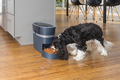 PetSafe Smart Feed Automatic Dog and Cat Feeder, Smartphone