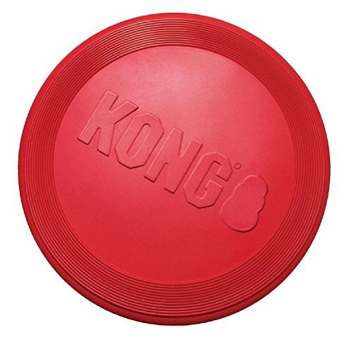 Red Flyer Flexible Durable Frisbee Disc