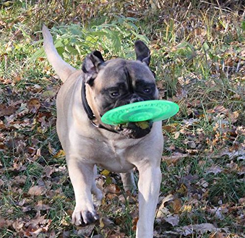 TufToys Big 9" Dog Frisbee Toys - Interactive Dogs Toy