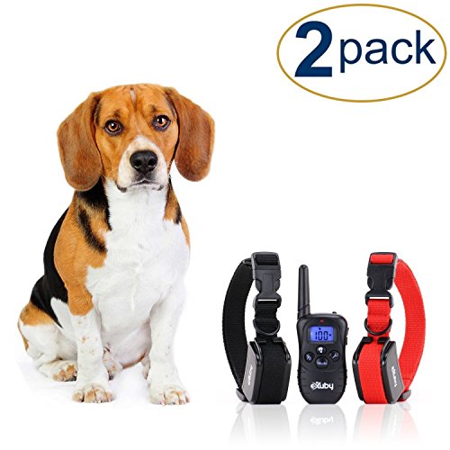 Two Shock Collar for Small Dogs with Remote