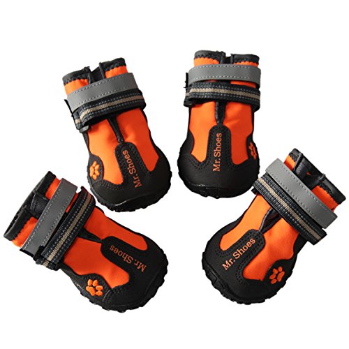 vecomfy Waterproof Dog Shoes for Large Dogs Review