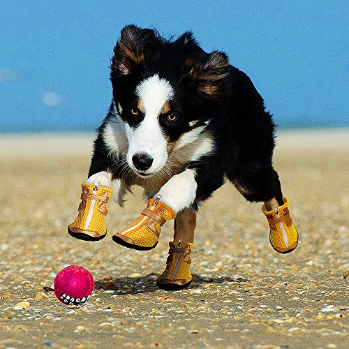 Pet Boots Dog Boots Waterproof Dog Shoes