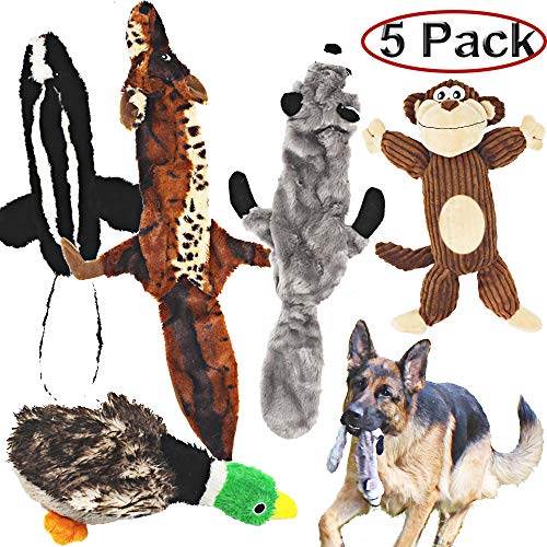 Jalousie 5 Pack Dog Squeaky Toys Three