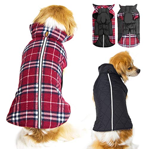Dog Sweaters and Coats for Extra Large Dogs