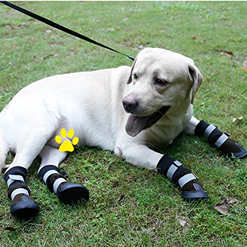Dog Boots Paw Protectors Anti-Skid