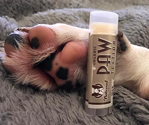 Natural Dog Company PAWTECTION | for Protecting Dogs paw Pads