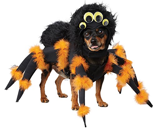 California Costumes Collections Spider Pup Dog Costume