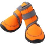 Dog Shoes Walking Paw Protector