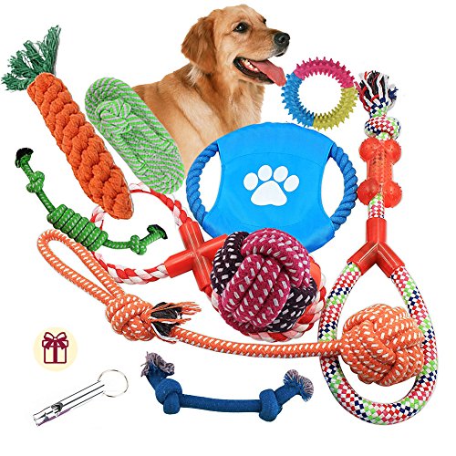 Dog Rope Toys 10 Pack Set Pet Puppy Teething Chew